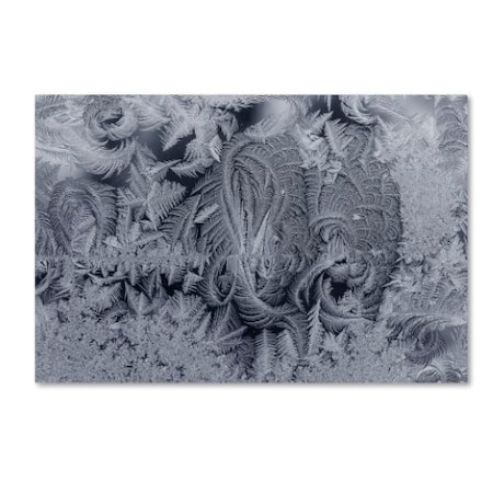 Kurt Shaffer 'Frost On My Window 3' Canvas Art,30x47